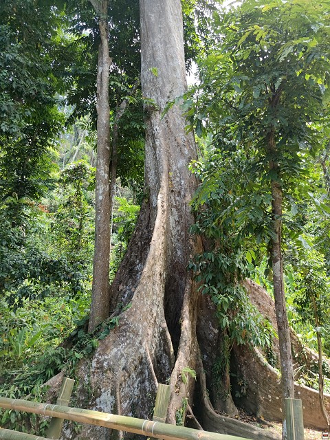 img00064.jpg