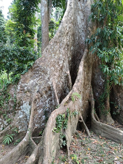 img00066.jpg