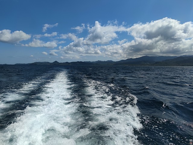 img00008.jpg