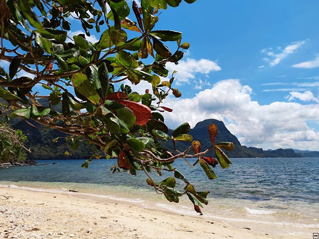 img00039.jpg