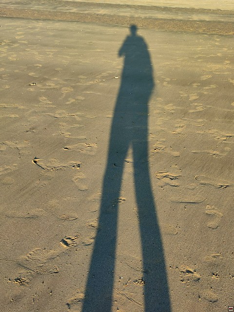 img00054.jpg