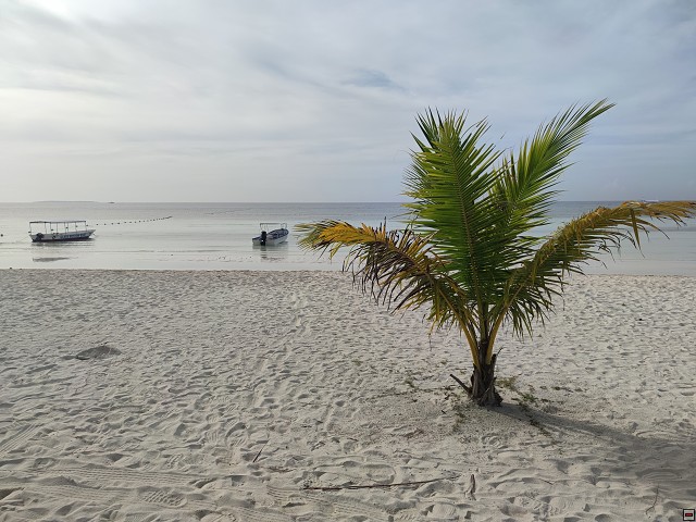 img00002.jpg