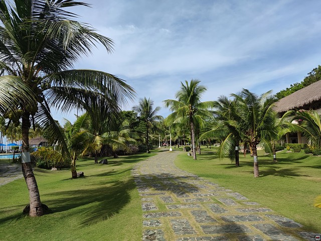 img00006.jpg