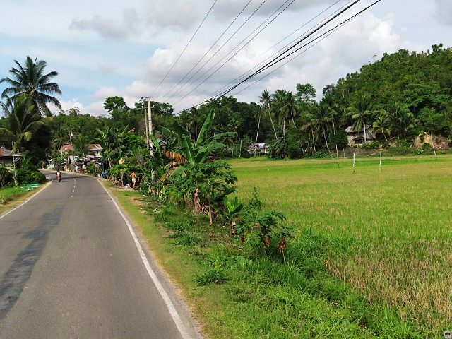 img00059.jpg