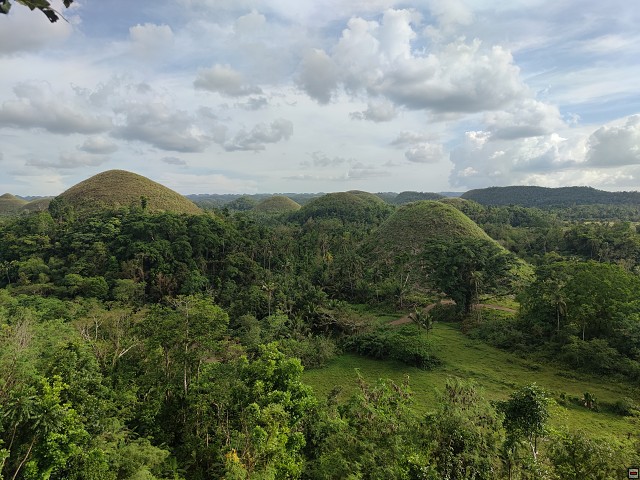 img00065.jpg