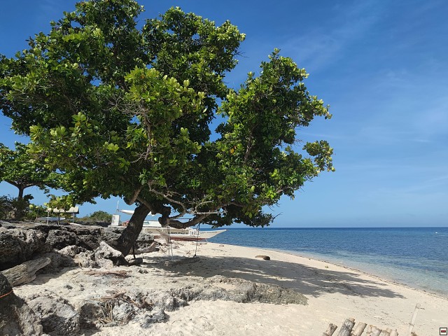 img00008.jpg
