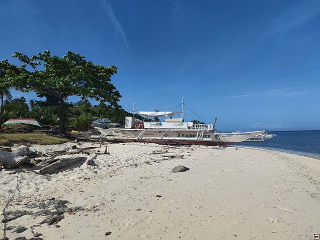 img00010.jpg