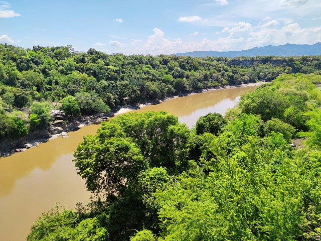 img00005.jpg