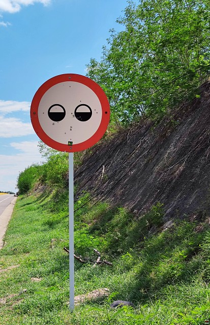 img00008.jpg
