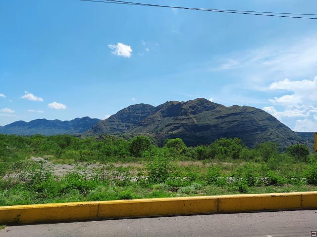 img00009.jpg