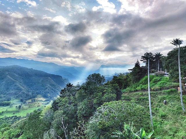 img00007.jpg