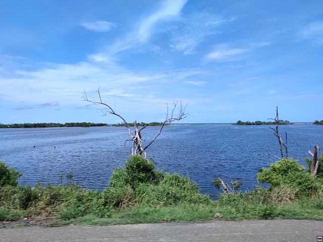 img00016.jpg