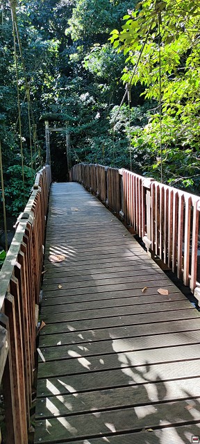 img00030.jpg