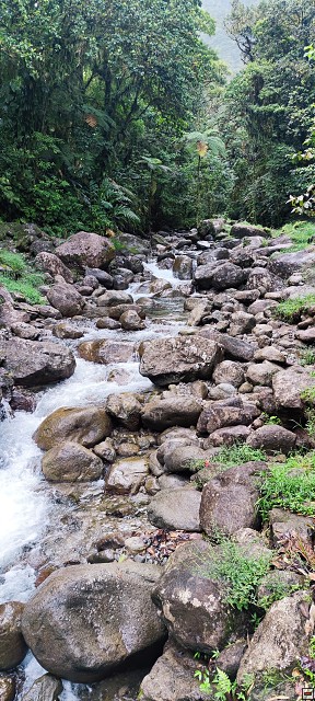 img00018.jpg
