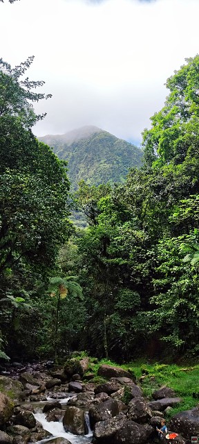 img00025.jpg