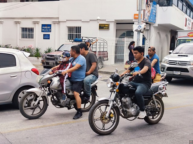 img00019.jpg