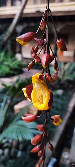 img00027.jpg