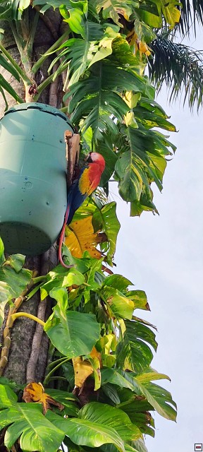 img00009.jpg