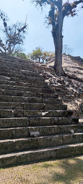 img00015.jpg