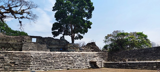 img00018.jpg