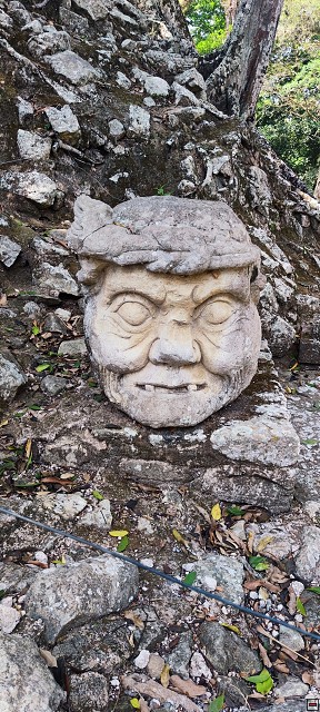 img00020.jpg
