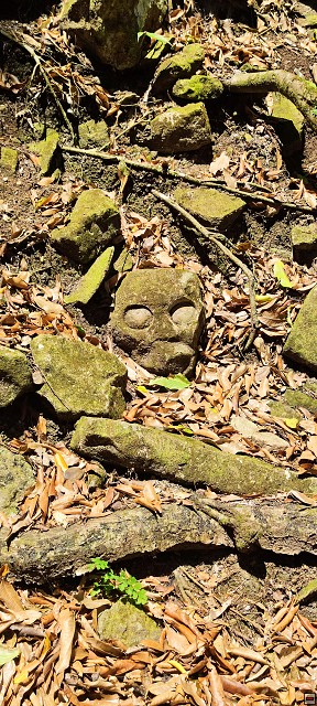 img00022.jpg