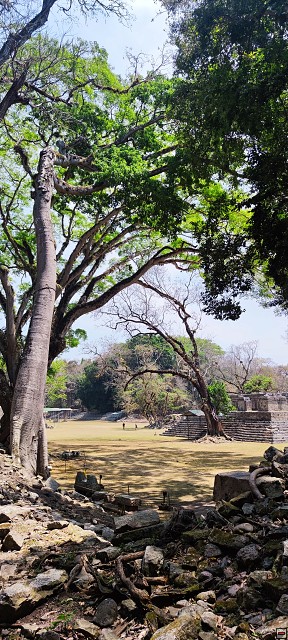 img00023.jpg