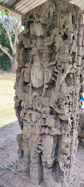 img00024.jpg