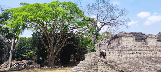img00026.jpg