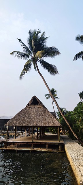 img00003.jpg