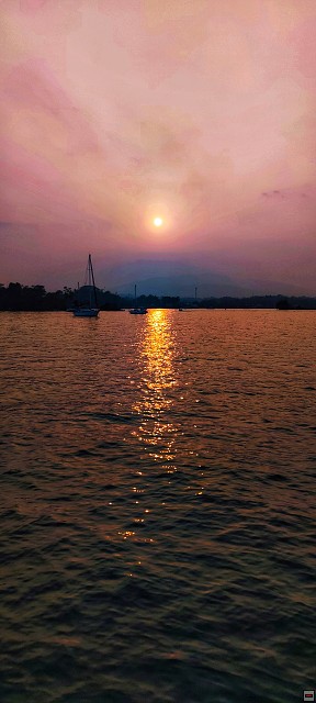 img00007.jpg