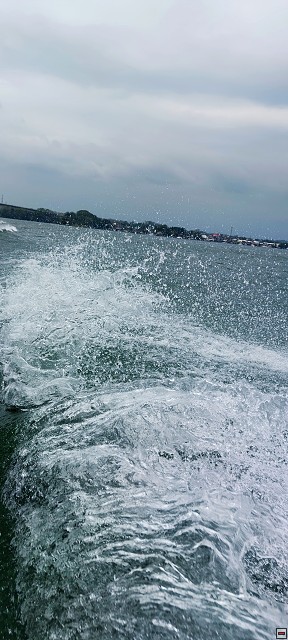 img00007.jpg