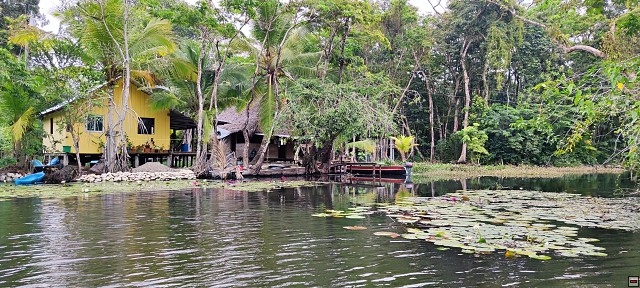 img00017.jpg
