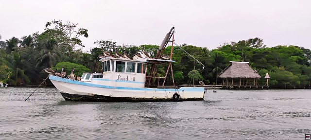 img00030.jpg