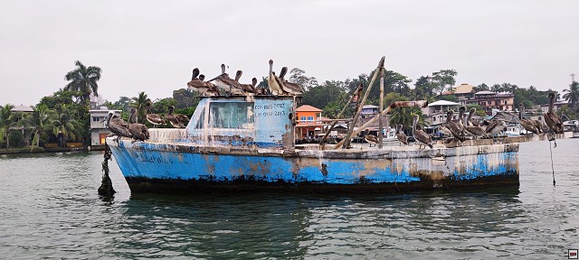 img00032.jpg