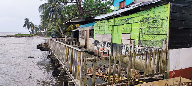 img00050.jpg