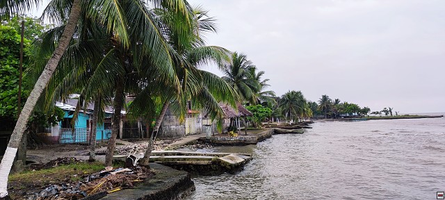 img00051.jpg