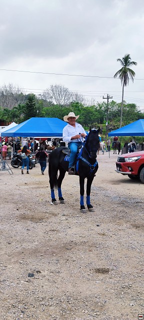 img00003.jpg