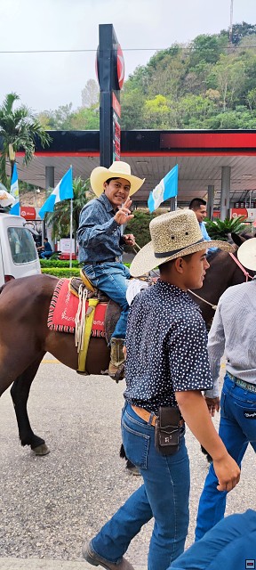 img00011.jpg