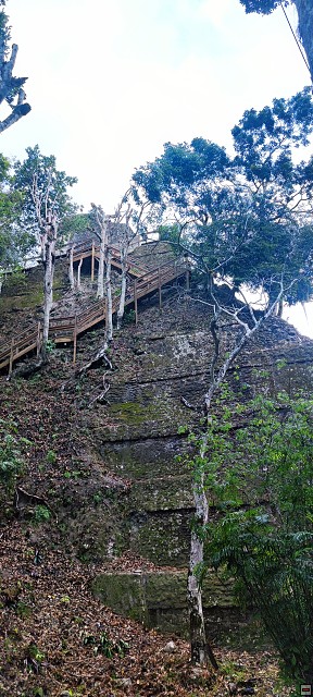 img00030.jpg