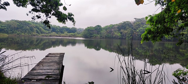 img00008.jpg