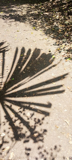 img00019.jpg