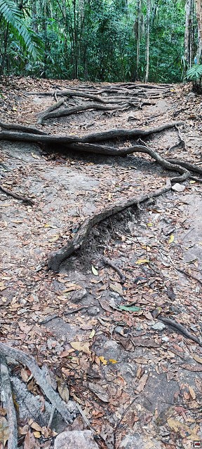 img00020.jpg