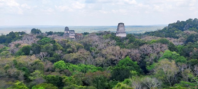 img00022.jpg