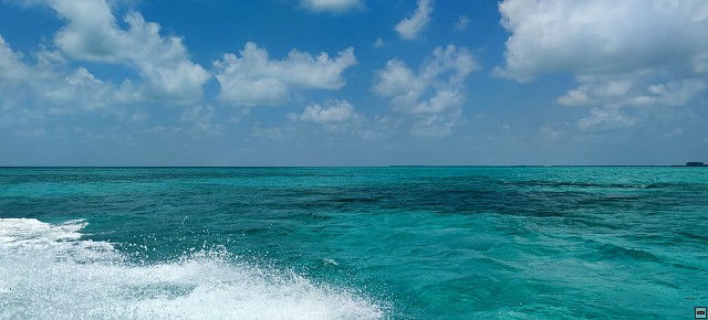 img00025.jpg