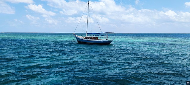 img00031.jpg