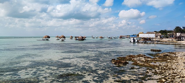 img00050.jpg