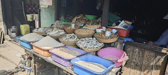 img00014.jpg