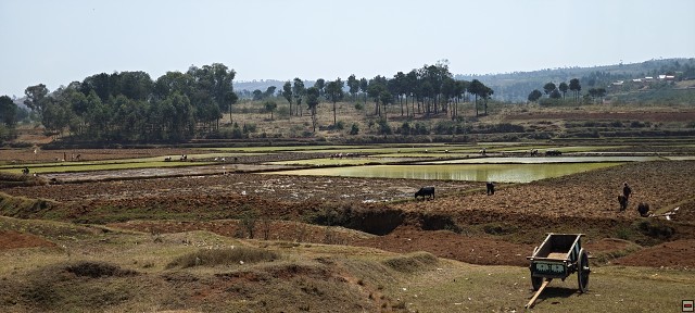 img00035.jpg