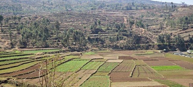 img00036.jpg